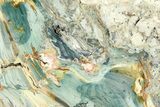 Freestanding Gary Green Jasper (Larsonite) Bog Wood - Oregon #377862-2